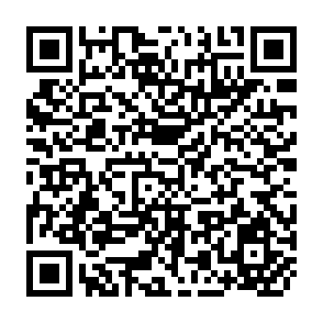 QR Code for Roles of Change Agents in Development