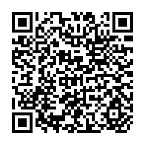 QR Code for New Patterns in Teaching and Learning: A look at the People's Republic of China