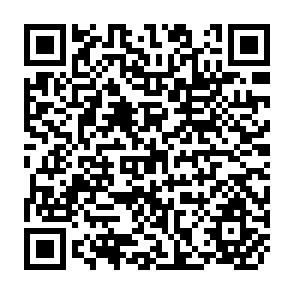 QR Code for Public Investment Criteria Studies in the Economic Development of India