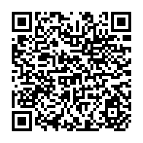 QR Code for Cows and Cow-Slaughter in India: Religious, Political and Social Aspects