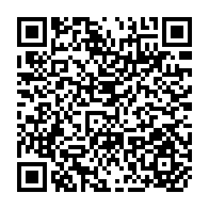 QR Code for Evaluating the Evaluation Game: