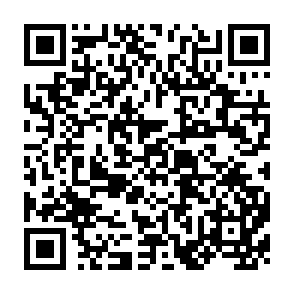 QR Code for US federal official publications:The international dimension