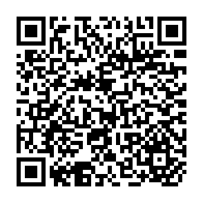 QR Code for Primer for Agricultural Libraries