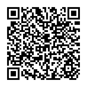 QR Code for The Poverty Line: Concepts and Measurements