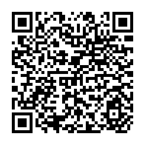 QR Code for The Methodology of Village Studies in Less Developed Countries