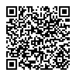 QR Code for International Workshop on Intercropping
