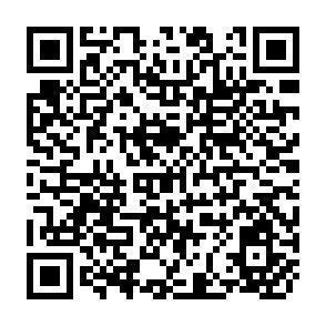 QR Code for Reading on Poverty Politics and Development