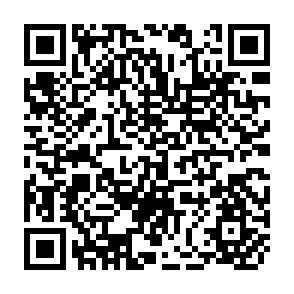 QR Code for The Logic of Sociological Explanation