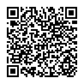 QR Code for Statistical Methods for Delineation of Regions Applied to Data on Agriculture and Population