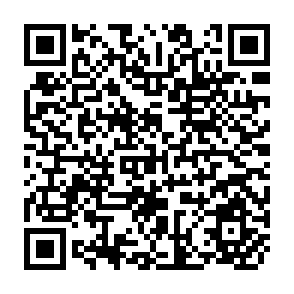QR Code for Seed to Civilization