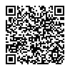QR Code for Concepts and Methods for Estimating Incomes in Village Studies in Semi-Arid Tropical India