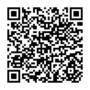 QR Code for An Analysis of Levels, Patterns and Determinants of Fertilizer Use on Farms in Selected Regions of Semi-Arid Tropical India