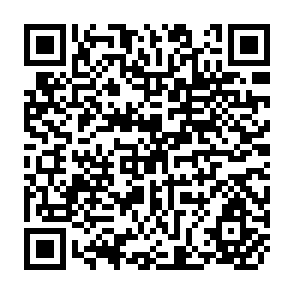 QR Code for A National Beef Survey