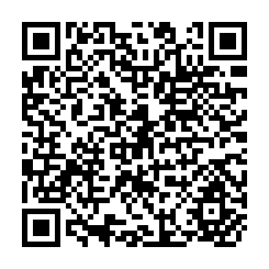 QR Code for The Economic Contribution of Schooling and Extension to Rice Production in the Province of Laguna, Republic of the Philippine