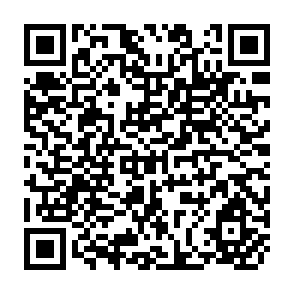 QR Code for the Lords of Human Kind