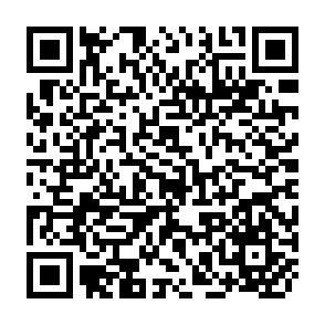 QR Code for Development Studies