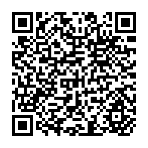 QR Code for The Bangladesh Development Studies