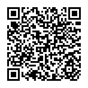 QR Code for Treasurer's and Controller's Letter Book