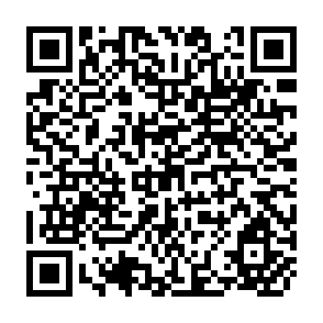 QR Code for Rural Poverty and the Policy Crisis