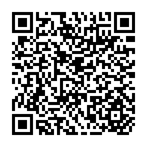 QR Code for Essays in Sociology and Social Philosophy