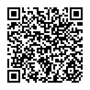 QR Code for The Economic Development of Korea : SUI Generis or Generic?