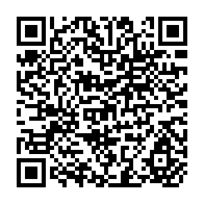 QR Code for Project Impact Evaluation No. 29