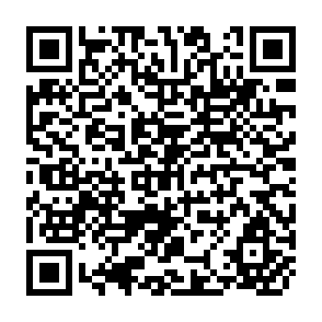 QR Code for The Social Construction of Reality