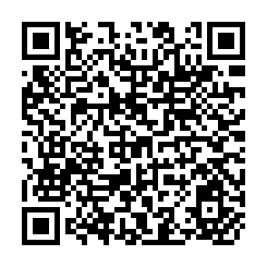 QR Code for The Future of the Social Services