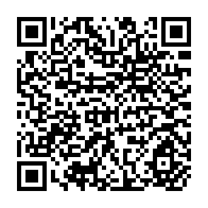 QR Code for The Future of the Social Services