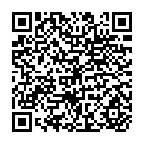 QR Code for Developing Countries in the International Economy
