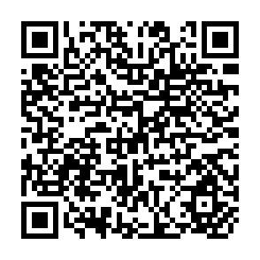QR Code for Beef Production