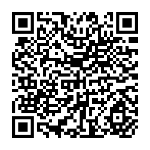 QR Code for Introductory Foods