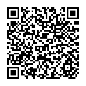 QR Code for Intersectoral Factor Mobility And Agricultural Growth