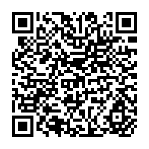 QR Code for Second Government Consultation for Asia and the Southwest Pacific o the Follow-up of the World Conference on agrarian Reform and Rural Development