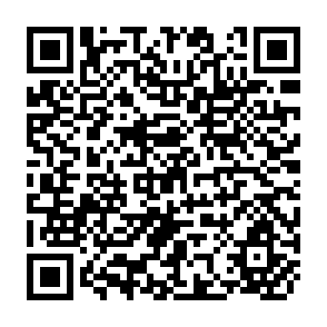 QR Code for The Nature and Extent of Nutritional Deficienncies in the Peruvian Andes