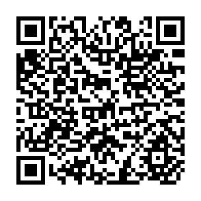 QR Code for Survival Stategies for and by Camp Refugees