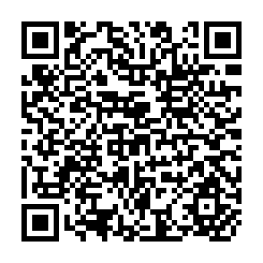 QR Code for Development Theory and the Third World