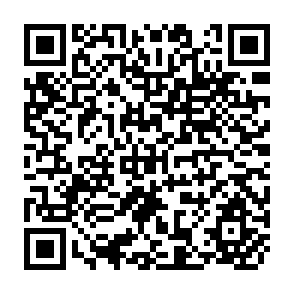 QR Code for The Warabandi and its Infrastructure