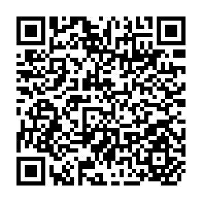 QR Code for The Vegetation of Thailand : an Ecological Review