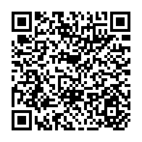 QR Code for Canned Fruit and Vegetable in France