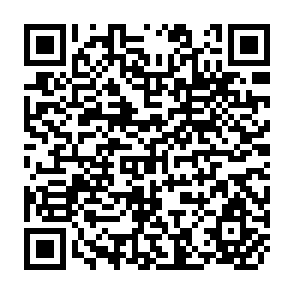 QR Code for Assessment and Collection of data Post-harvest Foodgrain losses