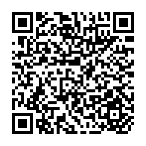 QR Code for The Spatial Organization of Society