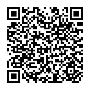 QR Code for Size, Composition, and Other Aspects of Rural Income in the Semi-Arid Tropics of India