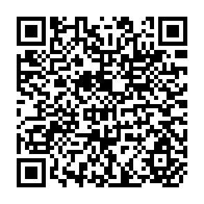 QR Code for Guidelines for Developing an Effective National Food Control System