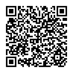 QR Code for The Brazilian Machine Tool Industry: Patterns of Technological Transfer and the Role of the Government