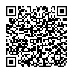 QR Code for Population and Development