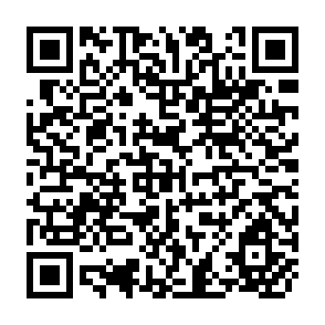 QR Code for The Sociology of the Third World - Disparity and Involvemnet