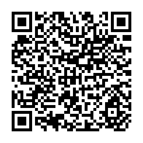QR Code for The Banana Tree