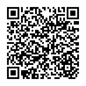 QR Code for The Social Sciences Problems and Orientations