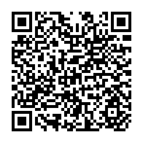 QR Code for The India Education Project